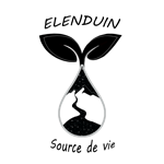 ELENDUIN